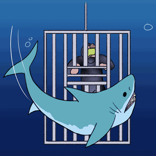 Resource 1 cover image