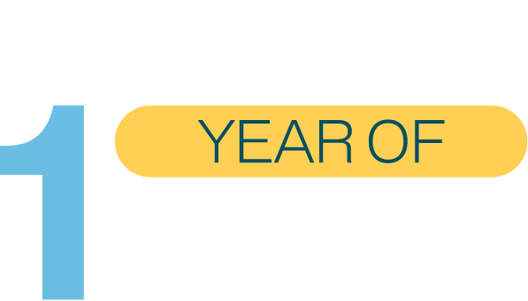 Celebrating 1 Year of Emeris