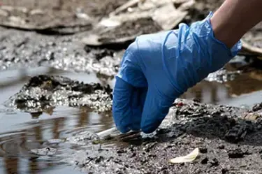IIE Master of Philosophy in Integrated Water Management - (Online)